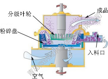 超細蘑菇TV官方在线观看